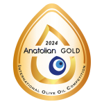 Anatolian IOOC 2024